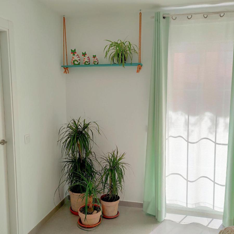 チェステCasa Edradaアパートメント エクステリア 写真
